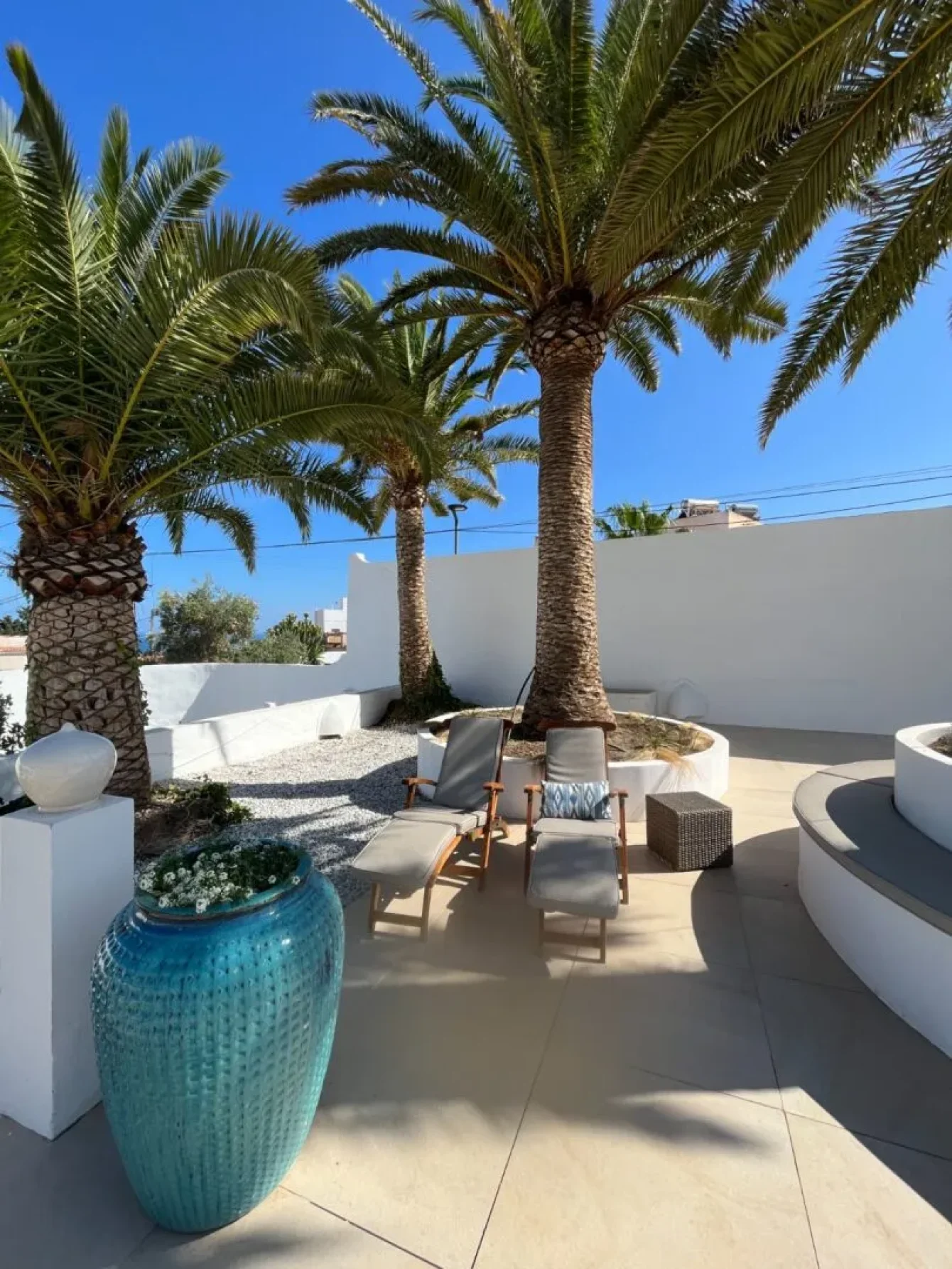 oasis-del-mar9_11zon